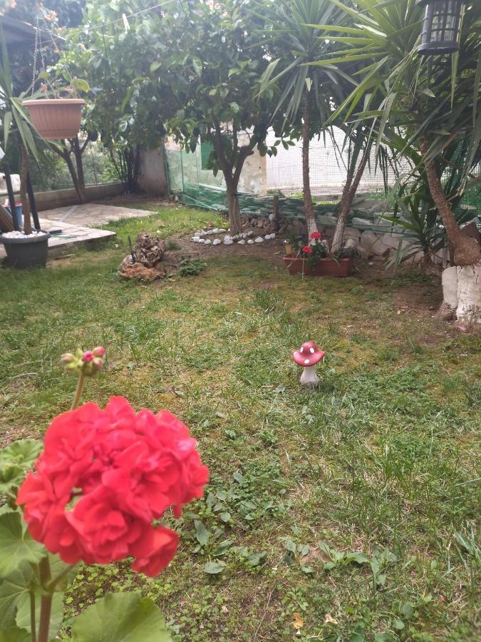 Sofis Garden Otel Kavala Oda fotoğraf